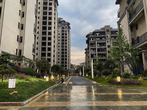 福州安顺居房产怎么样(福州安顺居房产代理有限公司)