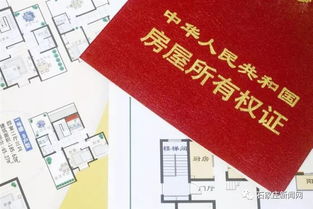 不能办房产证怎么处理(不能办房产证的原因有哪些)