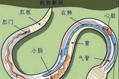 拍房产没有流量怎么办(房产流拍了怎么办)