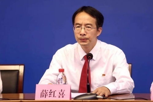 南阳李恒房产怎么样(南阳市李恒军)