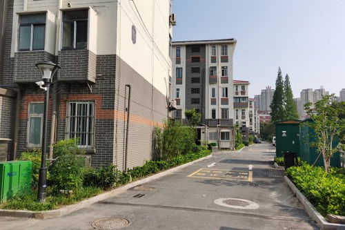 易家房产平房怎么样(易家房屋)
