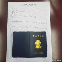 齐河怎么办理房产证(齐河办理房产证怎么收费)