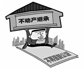 继承财产保护房产怎么办(继承房屋财产)