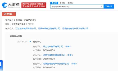 法院执行系统查房产怎么查(执行局怎么查房产)