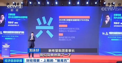 伟星房产消费券怎么用(伟星房产消费券怎么用不了)
