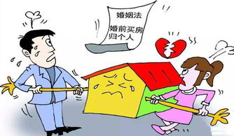 已婚男分房产怎么分的(已婚男给买的房子怎么处理)