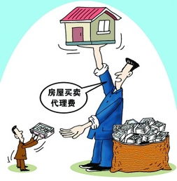 房产中介怎么认定为强奸(如何确定房产中介是真实的)