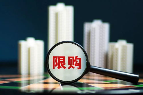 彻底清查房产怎么办理(房产清查是什么意思)