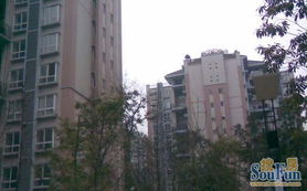 睢宁时威房产怎么样(睢宁时代花园在哪儿)