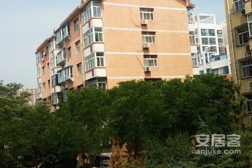 南宁杰哥房产怎么样(杰哥房子)