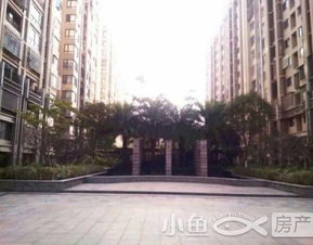 沈阳小鱼房产顾问怎么样(沈阳小鱼房产顾问怎么样啊)
