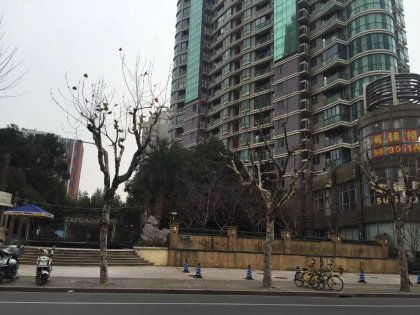 滨江房产看房怎么样(滨江房产看房怎么样啊)