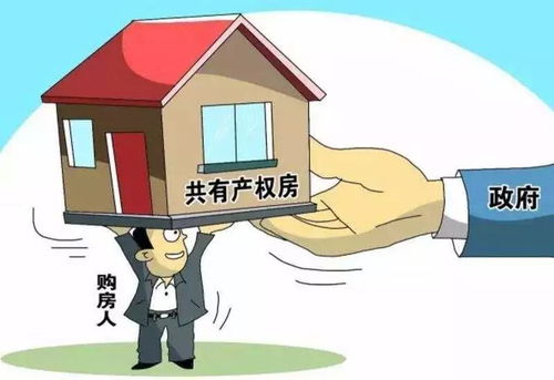 房产接地气的名字怎么取(房产接地气的名字怎么取好听)