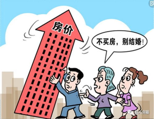 专业房产顾问买房怎么样(专业房产顾问买房怎么样知乎)
