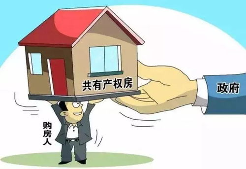 房产销售小日常怎么写(房产销售小日常怎么写文案)
