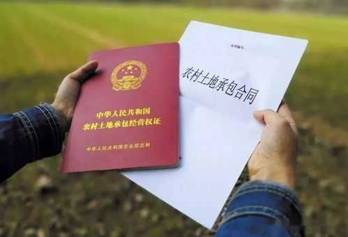 村民无房产证明怎么写(村民无房产证明怎么写的)