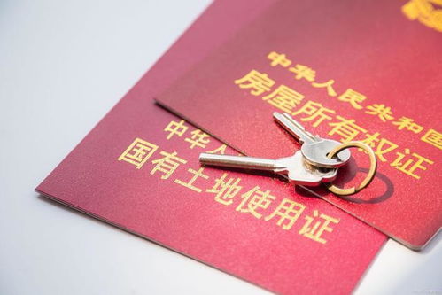 房产过户门牌号怎么填(房产过户门牌号怎么填写才正确)