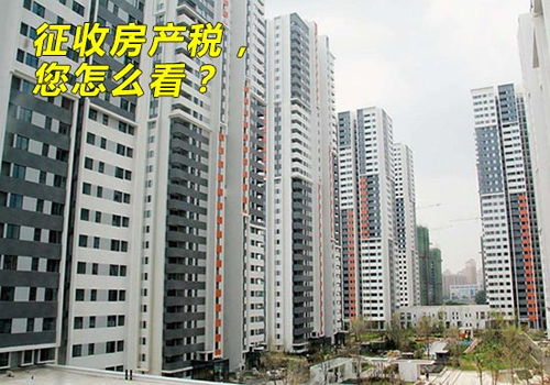 沈阳小贺房产怎么样(沈阳小贺房产怎么样啊)