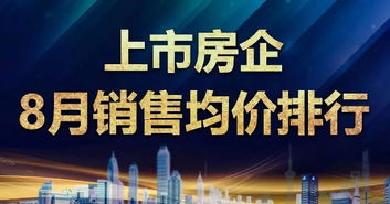 新世界房产思维课怎么上(新世界房企)