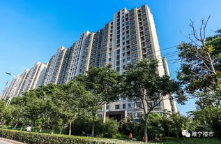睢宁三艳房产怎么样(睢宁三艳房产怎么样呀)