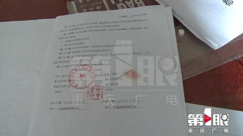 房产无端被查封怎么办(房产无故被告知查封怎么回事)
