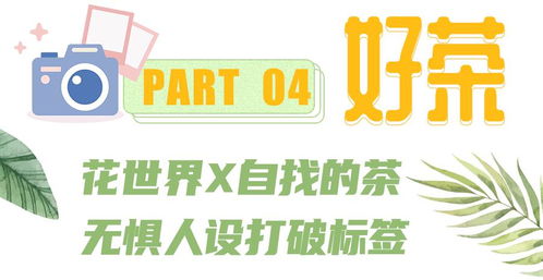 佳源房产婚介怎么样(佳源房产婚介怎么样可靠吗)