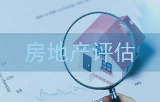 专业房产评估怎么样做(专业房产评估怎么样做的)