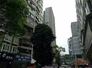 小盛房产评测怎么样(小盛小盛)