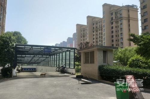 武陟房产盛世花园怎么样(河南省焦作市武陟县盛世花园)