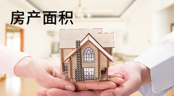 房产证面积怎么查看的(房产证的面积如何确定)