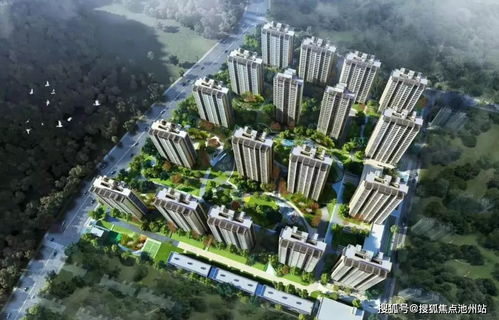 杭州富阳大华房产怎么样(杭州富阳大华房产怎么样知乎)
