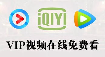昆明赵乔房产怎么样(赵乔说房 优酷)