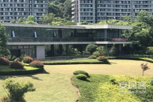 千岛印象房产怎么样(千岛湖印象酒店)