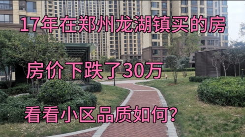 龙湖的房产质量怎么样(龙湖的房子属于什么档次)