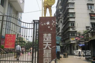 武汉星科房产怎么样(武汉星科房地产开发有限公司怎么样)