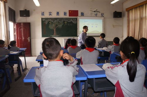 大学房产销售怎么样(大学毕业做房产销售怎么样)