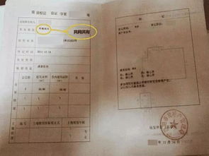 低压房产证格式怎么写(低压房产证贷款需要什么手续)