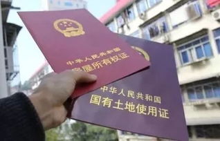 老人的房产证怎么分割(老人房产证怎么过户给儿子)