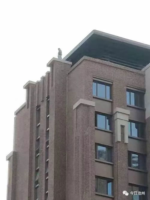 河北正规房产增值怎么样(河北房产网官网)