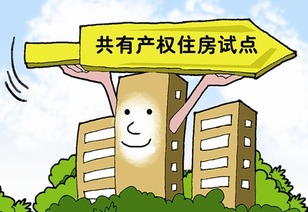 共有房产怎么样分居(共有的房产怎么分开)