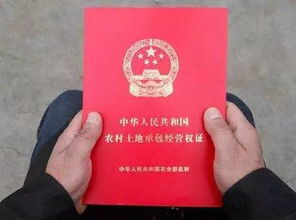没有土地房产证怎么申请(没有土地证的房子可以办理不动产证吗)