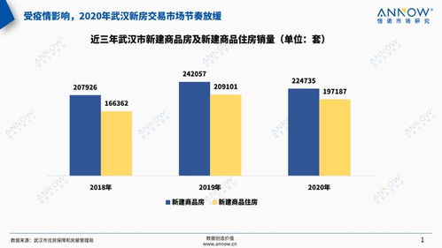 武汉今年房产市场怎么样(武汉房产趋势)