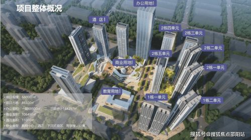 湛江中信房产怎么样(湛江中信营业网点)