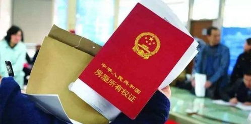 房产证标号怎么看(房产证标号怎么看出来)