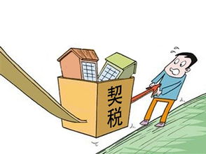 房产契税去哪里交怎么查(房产契税在哪里查)