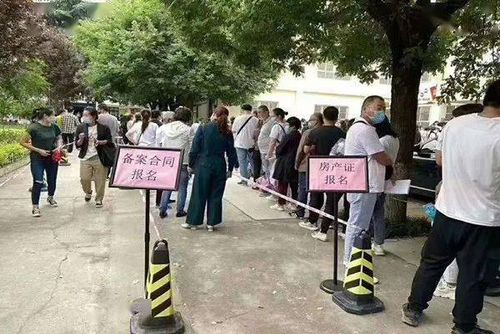 房产证没有怎么报名入学(房产证没办怎么入学)