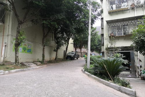 大龙房产中介怎么样(大龙房地产公司)
