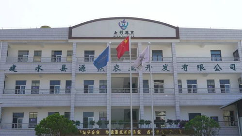 建水宏博房产口碑怎么样(建水宏斌集团有限公司图片)
