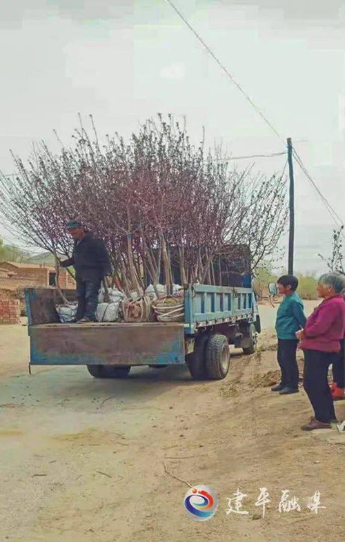 两父子争房产怎么处理好(父子争夺房产)
