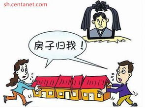 房产过户审税线上怎么审(房产过户审税线上怎么审核)